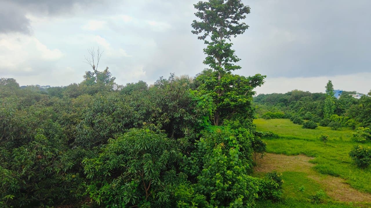 Why You Should Choose a Homestay Over a Hotel