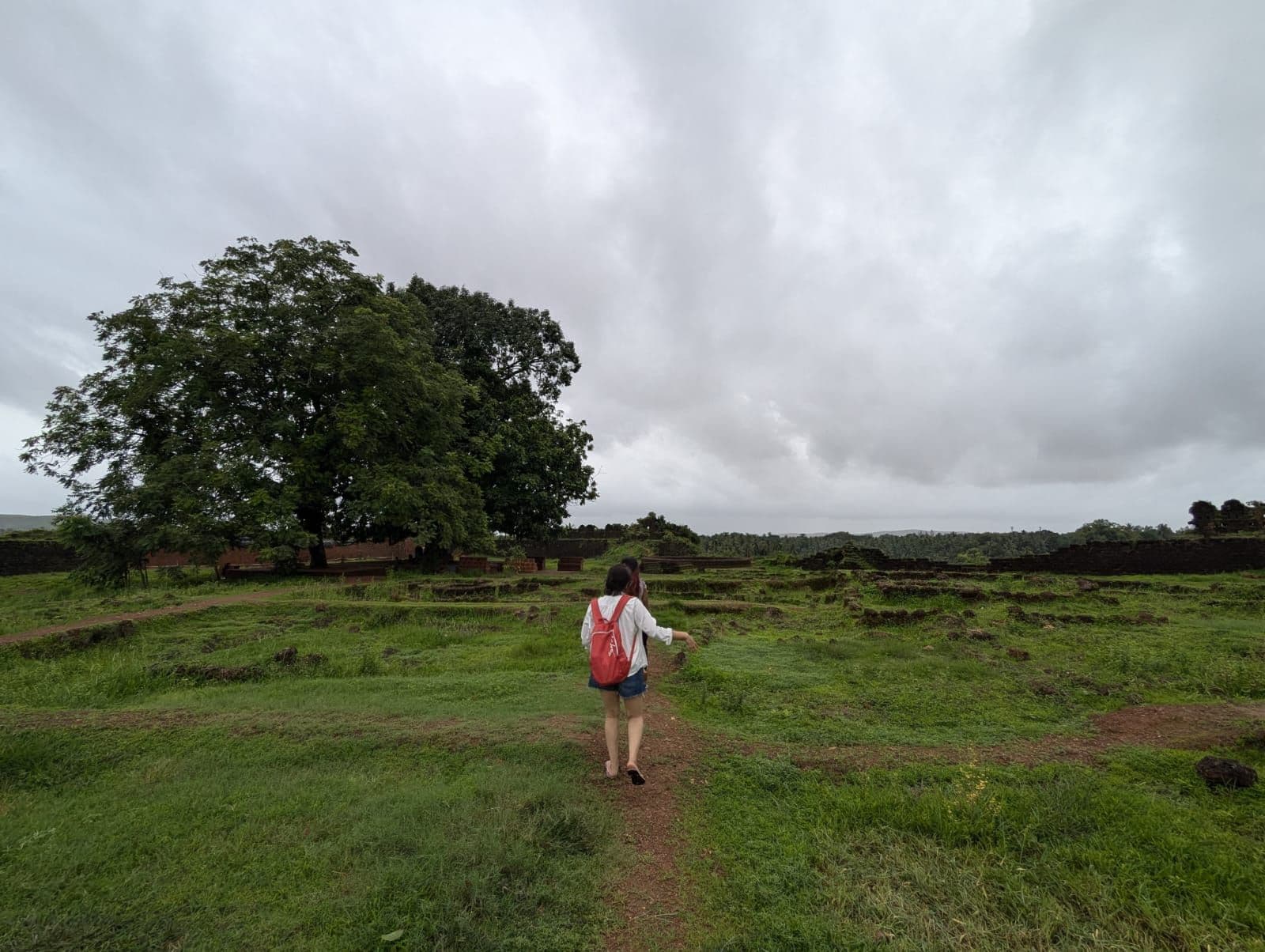 From UPSC Aspirant to Homestay Host: Returning to My Roots